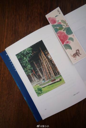 tumblr客戶端閃退youtube一直閃退怎么辦-第1張圖片-太平洋在線下載