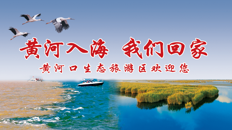 無線墾利app蘋果版大地視頻下載免費蘋果手機安裝-第2張圖片-太平洋在線下載