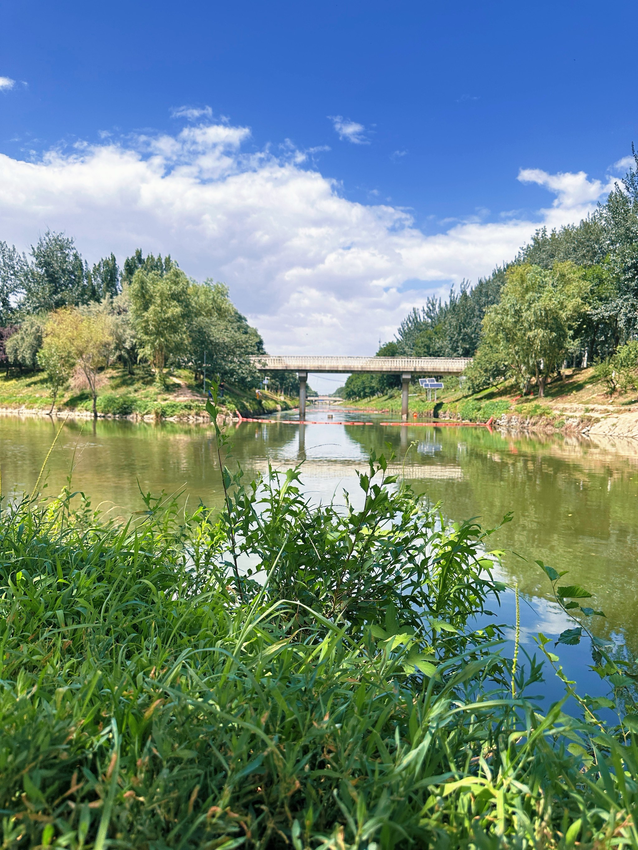 綠壩手機版綠小服蘋果手機下載-第2張圖片-太平洋在線下載